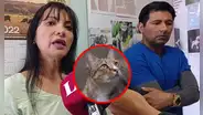 Encuentran gatito desollado vivo en Tacna y exigen justicia: "Nunca me ha tocado ver esto"