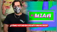 MTV Miaw: ¿cómo votar por "Historia para tontos" en la categoría trend master?