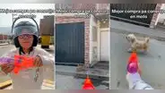 Joven ‘dispara’ con su pistola de agua a los perritos que se acercan a ladrarle: “La mejor compra”