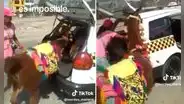 Dos llamas subiendo a taxi son furor en redes sociales: “En Perú nada es imposible”