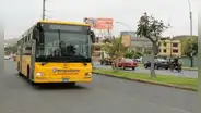 Conoce las rutas y horarios de los alimentadores del Metropolitano en Naranjal y Matellini