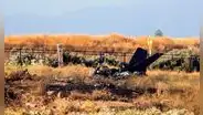 Tragedia en EE. UU.: avión se desploma y se incendia con 6 pasajeros a bordo y todos mueren