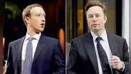 La soñada pelea entre Elon y Mark