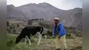 Las familias que viven cerca al volcán Ubinas y le perdieron miedo