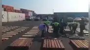 Callao: hallan 256 kilos de cocaína oculta en madera capirona que tenía como destino Bélgica