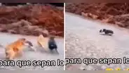 Hombre 'ladra' a perritos y ellos huyen del susto: "Para que sepan lo que se siente"