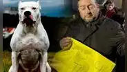 Adolescente muere tras ser atacada por perros dogos que eran "entrenados con pumas"