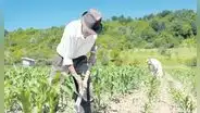 FAO: producción agrícola y pesquera en América Latina crecerá 12% al 2032