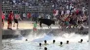 Toro muere ahogado durante festividad taurina: decenas de personas hicieron que cayera al agua