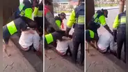Perro de Serenazgo intenta despertar a hombre dormido en calle del Cusco: “Firualis resguardando la ciudad”