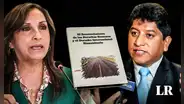 Defensor del Pueblo tras denuncia de plagio contra Dina Boluarte: "Su silencio es muy prudente"