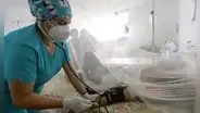 Dengue en Perú: La Libertad cierra con 16 fallecidos