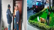 Maltrato animal: sujeto que golpeó a mascotas fue multado con más de S/2.400 en Magdalena
