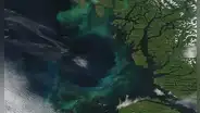 Cada vez menos azul: el color del océano está variando por el cambio climático