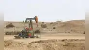 Petrolera Monterrico operará el Lote V y Olympic Perú el Lote VII de Talara por 30 años