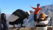 ¿A dónde viajar en Fiestas Patrias? 5 destinos del Perú que debes visitar en julio