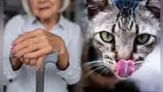 El caso de Clara Tobón: la mujer que fue devorada por sus gatos tras morir en soledad