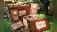 Denominación de origen Cacao Amazonas Perú empezaría a exportarse en el último trimestre de este año