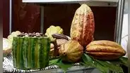 Cacao peruano llega a más de 70 mercados a nivel mundial