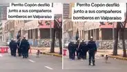Perrito marcha junto a bomberos de Chile y causa sensación en TikTok: "Y no perdió el paso"