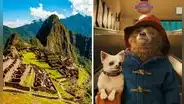 ¡Al estilo "Transformers"!: película "Paddington 3" se grabó en Machu Picchu