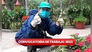 ¿Con secundaria completa? Postula a 24 empleos en la Municipalidad de Lince con sueldos de S/1.800
