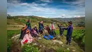 Midagri anuncia aprobación del reglamento de ley de asociatividad de productores en cooperativas agrarias