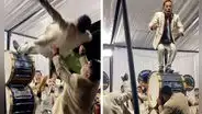 "Así caí en los brazos de mi ex": acrobacia de artista en fiesta de Áncash deja atónitos a internautas