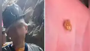 Niño va de excursión a una mina abandonada y encuentra una pepita de oro de 24 quilates: ¿Se volvió rico?