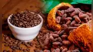 Exportaciones de productos orgánicos de origen peruano superaron los US$628 millones en el 2022