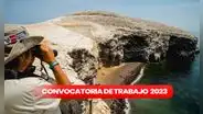 Sernanp brinda trabajos con sueldos de hasta S/8.000: postula AQUÍ