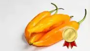 El ají amarillo es declarado como el mejor vegetal del mundo, según Taste Atlas