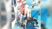 Náufrago y su perra Bella rescatados tras 3 meses en altamar