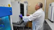 En veneno de serpientes hallan proteína que frena avance del cáncer