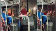 Perrito trabaja como cobrador y dirige a chofer con sus ladridos: “Bajan, pata derecha”