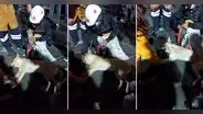 Perrito es auxiliado por protestantes tras 'desmayarse' en la 'Marcha Nacional': "Todo un héroe"