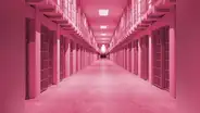 Cómo el color rosa volvió menos agresivos a los presos en Estados Unidos