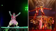 Circos en Lima 2023? Funciones, precios, ubicación y más [GUÍA BARATA]
