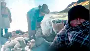 Declaran en emergencia a Puno por bajas temperaturas: ¿qué zonas están en muy alto riesgo?