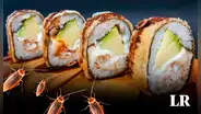 Clausuran local de makis infestado de cucarachas en Pueblo Libre