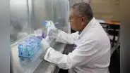 El veneno de serpiente puede frenar el cáncer de mama y leucemia