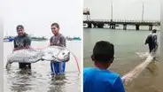 Pez remo de 3 metros de largo apareció en las costas de Punta Sal en Tumbes