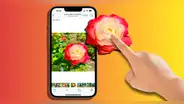¿Quieres quitar el fondo de una foto? Este es el sencillo método para hacerlo desde tu iPhone