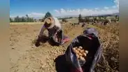 INEI: el 88% de la agricultura familiar en el Perú es de subsistencia