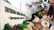 San Marcos enseñará Gastronomía, Marketing y Negocios Marítimos desde 2024: Conoce todo al respecto