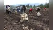 Midagri: 3 de cada 4 productores son propietarios de una parcela agrícola