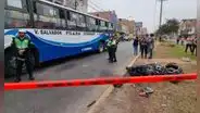 Carabayllo: motociclista fallece tras accidente contra 2 buses de transporte público