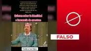 No, Disneyland no prohíbe que los menores llamen a otros niños "él" o "ella"