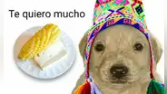 Choclo con queso dentro de los mejores platos del mundo a base del lácteo, según Taste Atlas