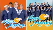 ¿Por qué Agua Marina rechazó tener una miniserie como el Grupo Néctar o Marisol, la 'Faraona'?